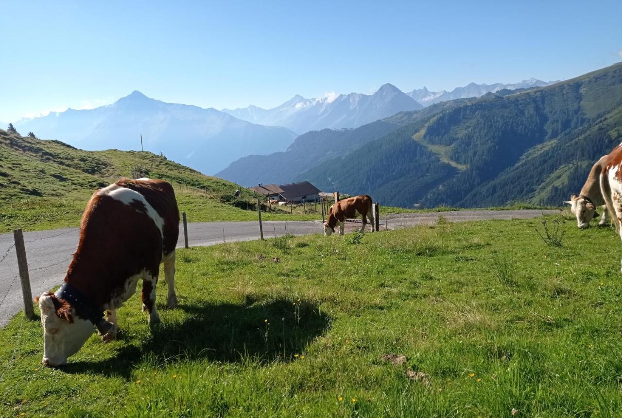 Apart Anna Mayrhofen Esterno foto