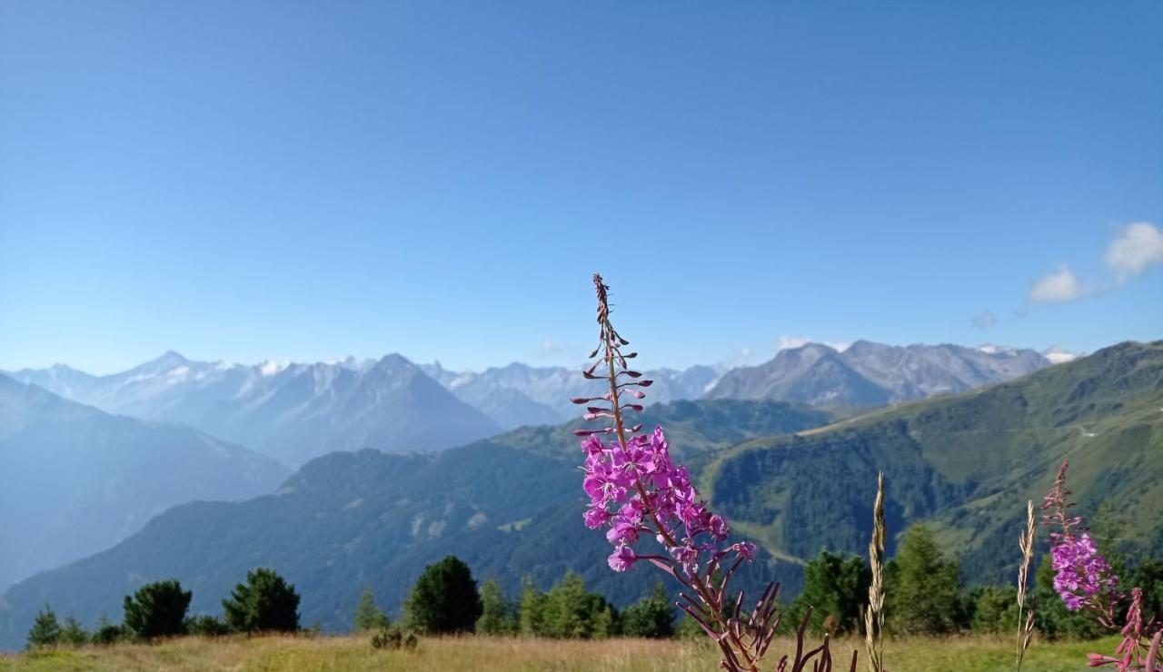 Apart Anna Mayrhofen Esterno foto