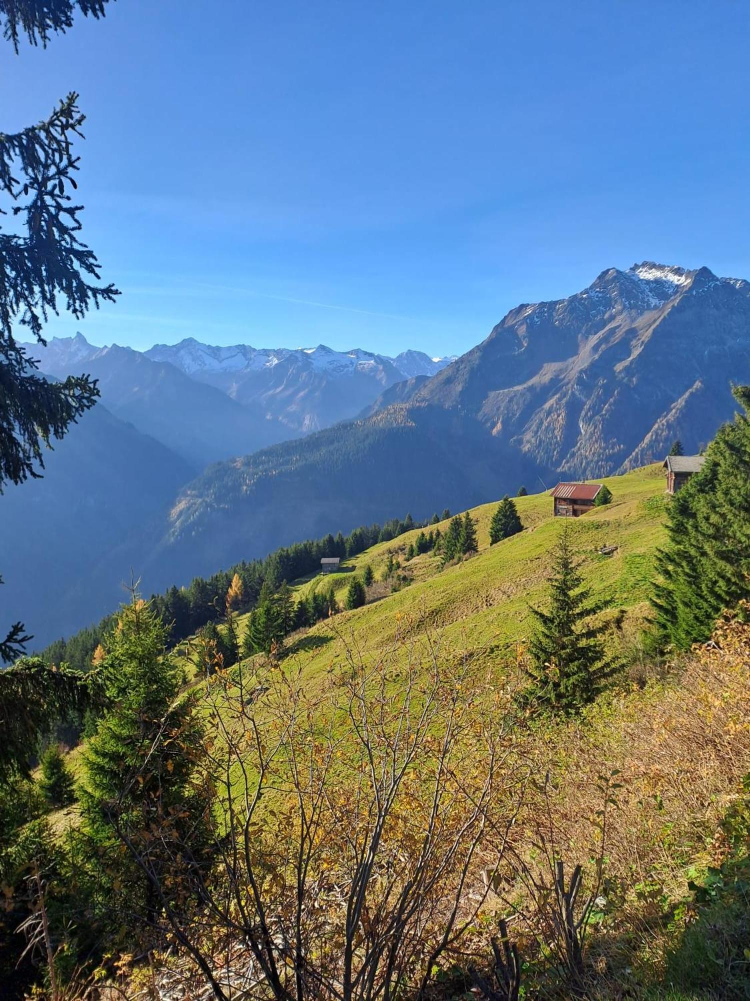 Apart Anna Mayrhofen Esterno foto